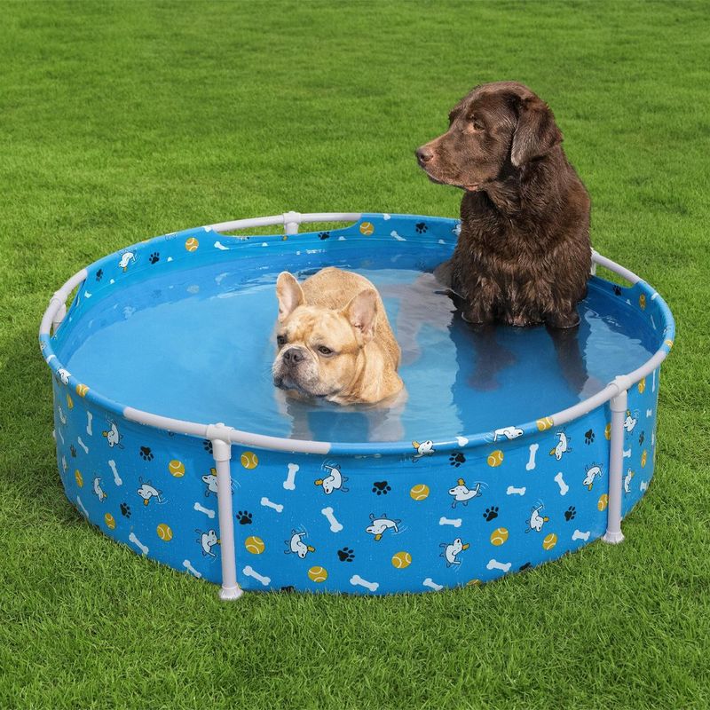 Piscina para Mascotas Fetchin