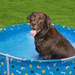 Piscina para Mascotas Fetchin