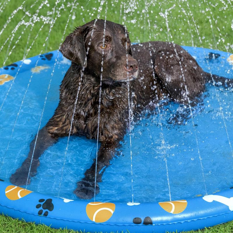 Tapete de Agua para Mascotas