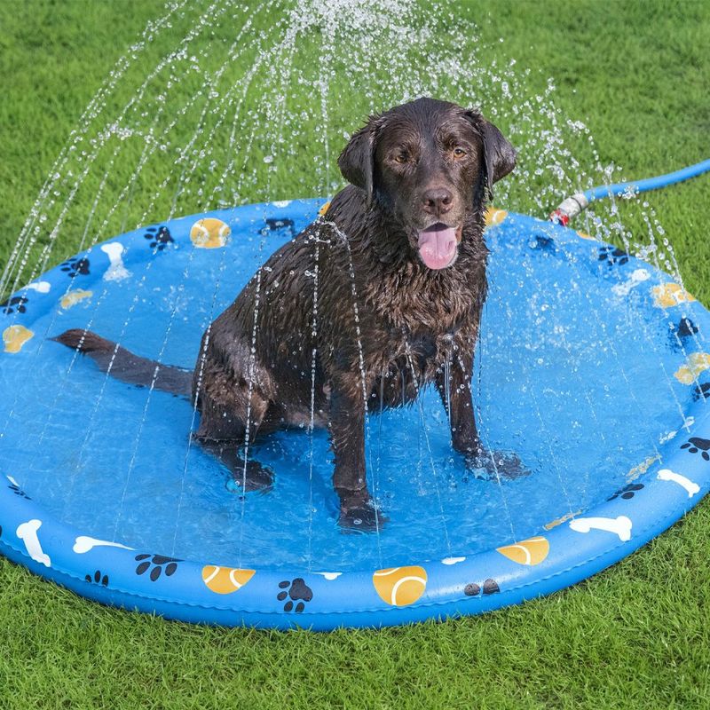 Tapete de Agua para Mascotas