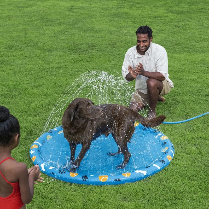 Tapete de Agua para Mascotas