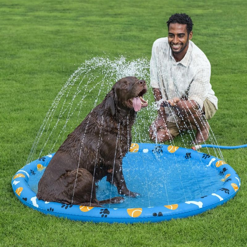 Tapete de Agua para Mascotas