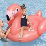 Inflable en Forma de Flamenco Fancy