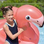 Inflable en Forma de Flamenco Fancy