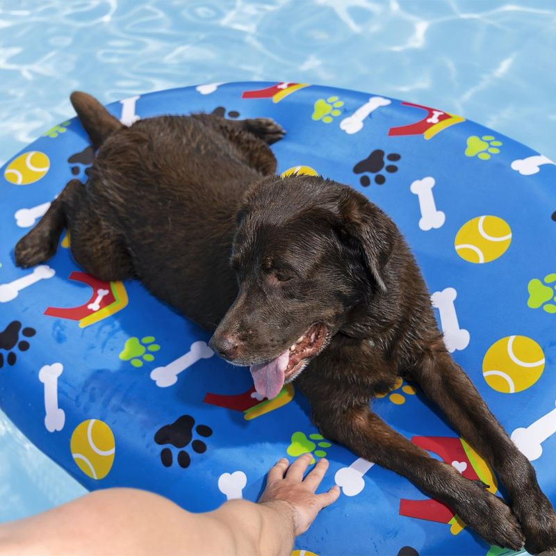 Flotador para Mascota