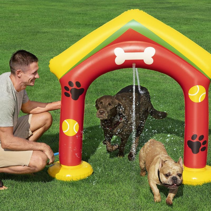 Rociador para Mascotas Inflable