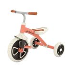 Triciclo Ziggi Salmón
