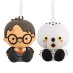 Set de 2 Figuras de Harry y Hedwig Diseño Infantil