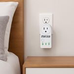 Protector de Voltaje 1800 W 1 Salida