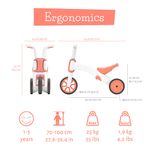 Triciclo Bunzi 2 en 1 Flamingo