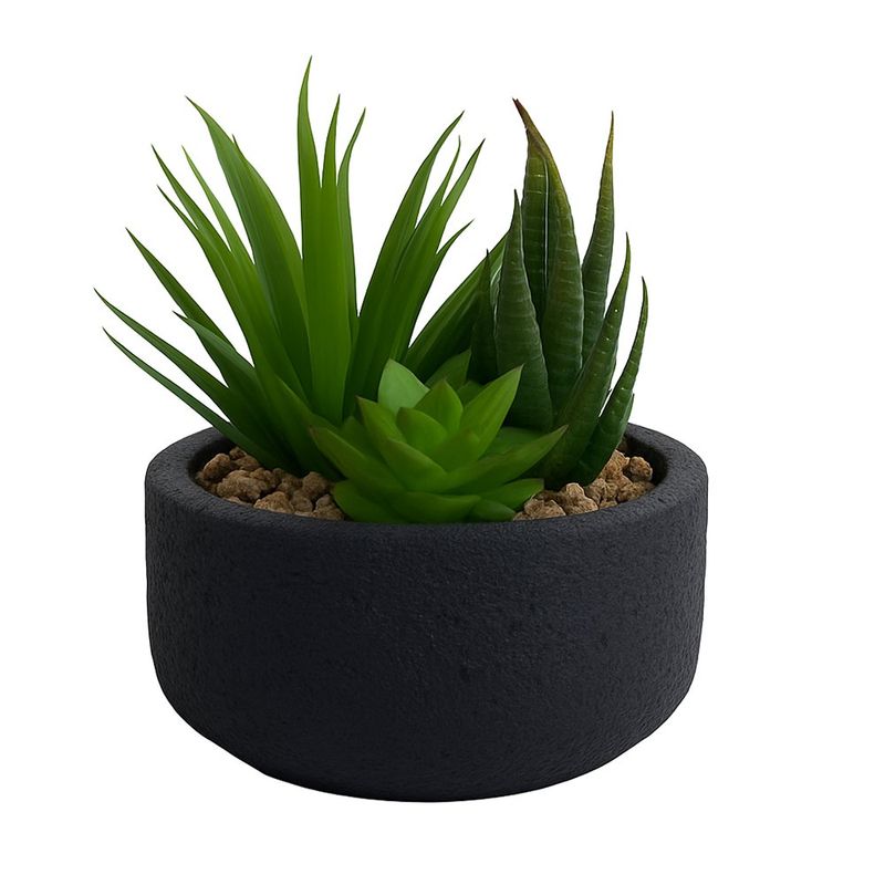 Suculenta Larga con Base de Concreto