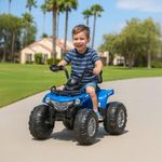 Cuatrimoto Eléctrica Azul 95x60x65 Cm