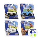 Vehículos con Figura en Diseños Surtidos