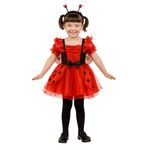 Disfraz Infantil de Mariquita Talla S