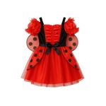 Disfraz Infantil de Mariquita Talla S