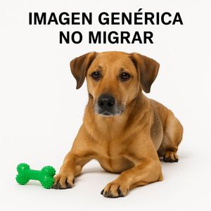 Juguetes Para Perros Ss054 - Barktoys