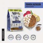 Alimento para Perro Cachorro Razas Mini y Pequeña con Salmón y Arveja 15 Kg