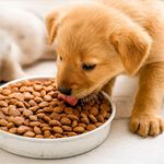 Alimento para Perro Cachorro Razas Mini y Pequeña con Salmón y Arveja 15 Kg