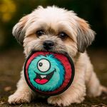 Juguete de Mascota Disky