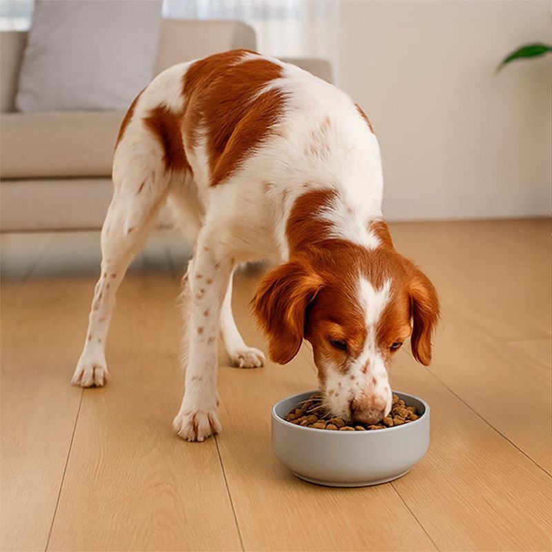 Alimento para Perro Senior Raza Mediana Sabor a Pollo 3 Kg