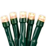 Serie LED Cálida de 100 Luces y 8 Funciones