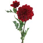 Dalia Artificial Roja