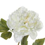 Peonía Artificial Blanca