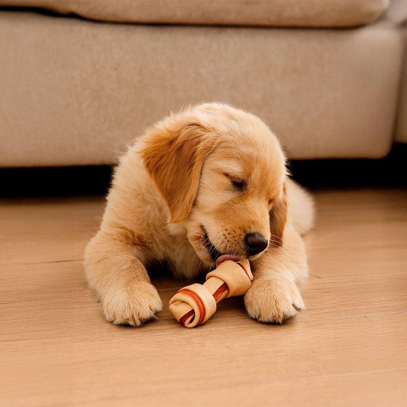 Hueso Mini para Perro Cachorro Raza Pequeña con Pechuga de Pollo