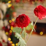 Flor Ranúncula Roja Artificial para Centro de Mesa