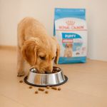 Alimento para Perro Cachorro Raza Mediana Carne y Pollo 10 Kg