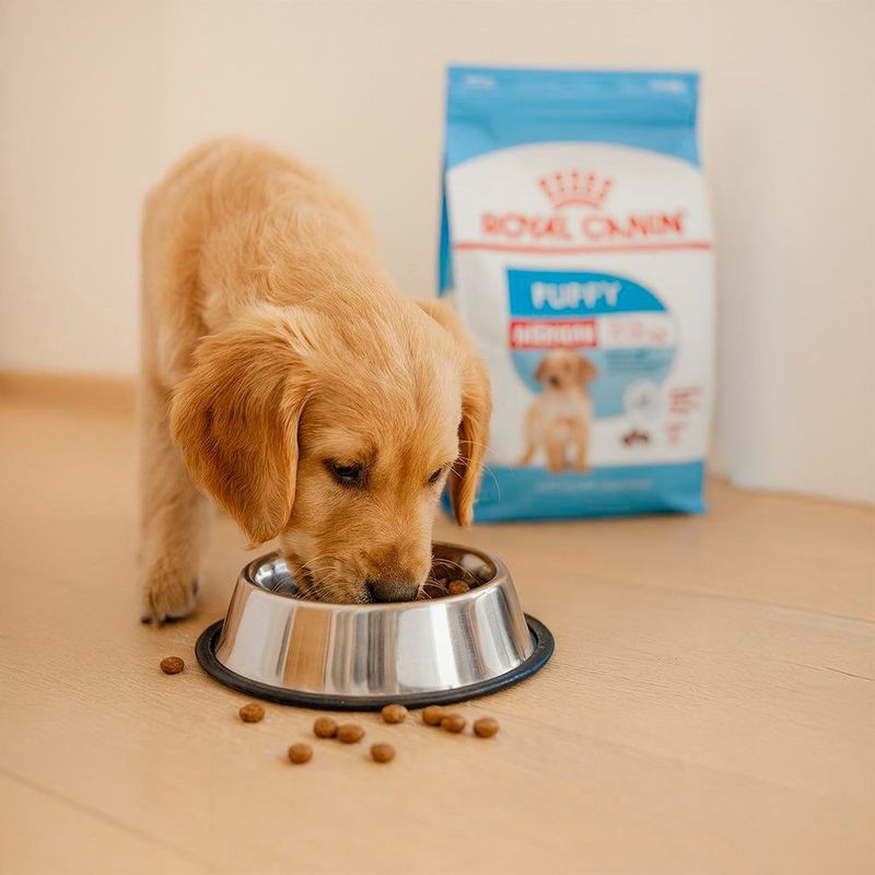 Alimento para Perro Cachorro Raza Mediana Carne y Pollo 10 Kg