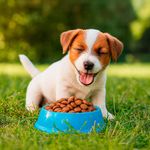 Alimento para Perro Cachorro Raza Pequeña con Pollo 4 Kg