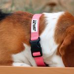 Collar de Nylon Rosado Talla L