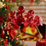 Orquídea Roja Elegante para Decoración de 60 Cm