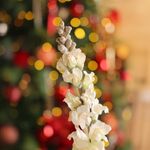 Vara de Flor Blanca Tipo Salvia para Decoración