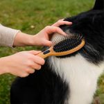 Cepillo Combinado con Cerdas y Pines para Mascotas