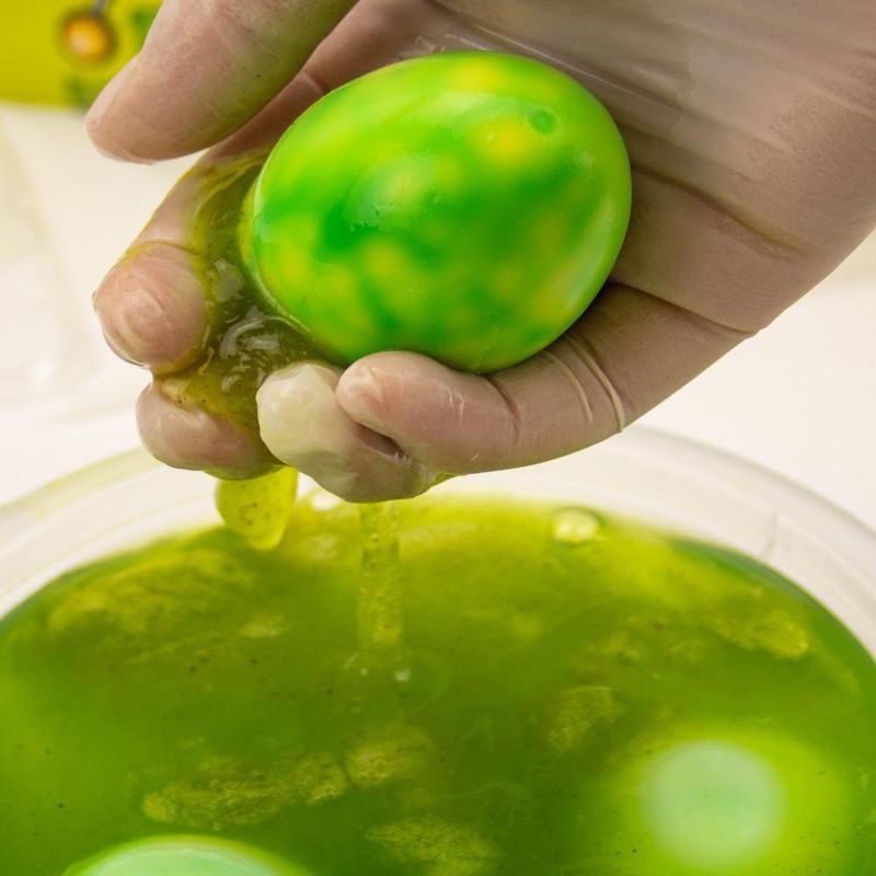 Set de Experimentos Ciencia Bruta