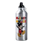 Pachón de Aluminio Mickey Mouse - Diseños Surtidos