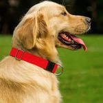 Collar de Nylon Rojo 60 x 2.5 Cm