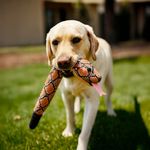 Serpiente Juguete para Perros de 24 Plg