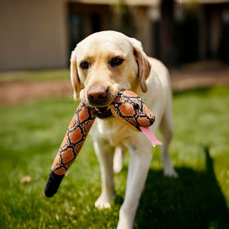 Serpiente Juguete para Perros de 24 Plg