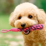 Cuerda Juguete para Perro Colores Surtidos