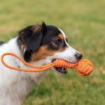 Cuerda Juguete para Perro Colores Surtidos