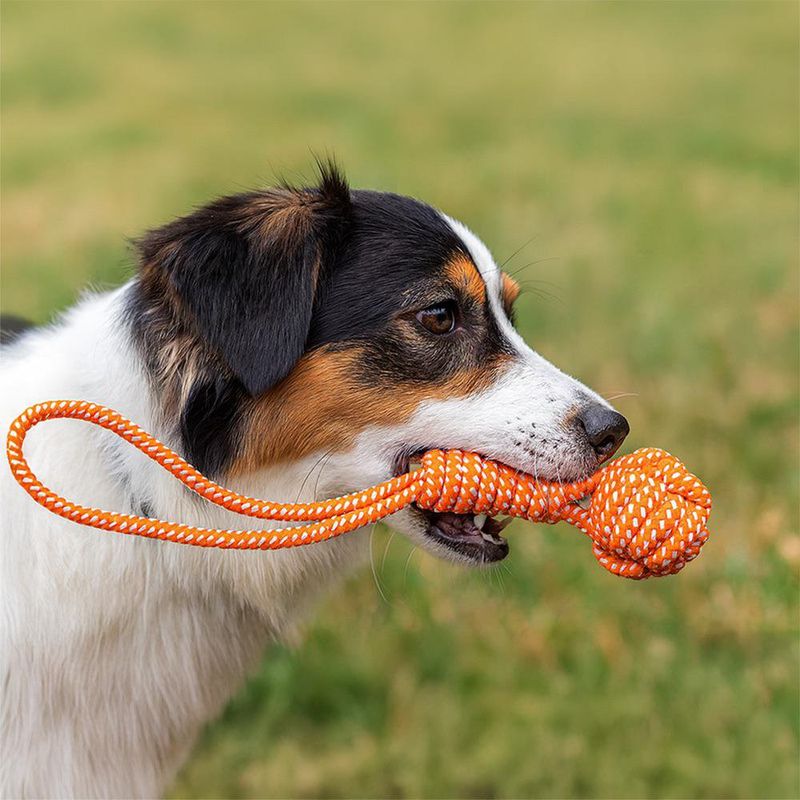 Cuerda Juguete para Perro Colores Surtidos