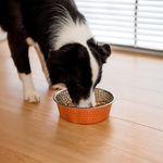 Plato de Acero Inoxidable