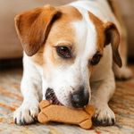 Galletas Horneadas para Perro Adulto Raza Grande Carne y Avena 200 Grs