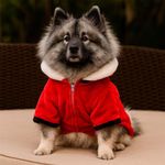 Chumpa Navideña para Perro S