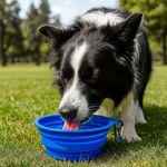 Bowl Portátil para Mascota de Silicón Colores Surtidos