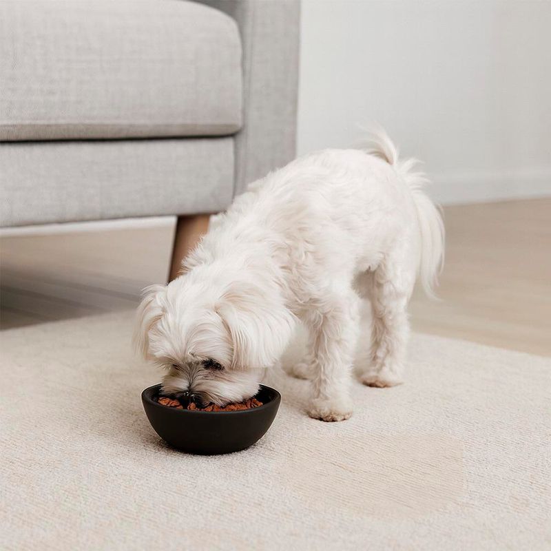 Alimento para Perro Adulto Raza Pequeña Carne y Pollo 8 Kg