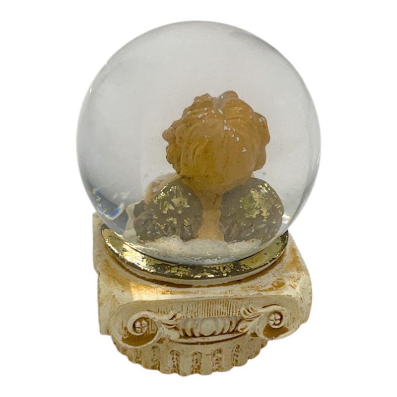 Bola de Cristal de Agua Diseños Surtidos